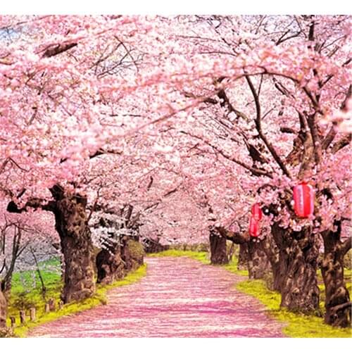 Peach Blossom Trees Pink Flowers Road Photography Backdrop 5x7 For Real Wedding Photo Shoots Photo Studio Background Backdrops
