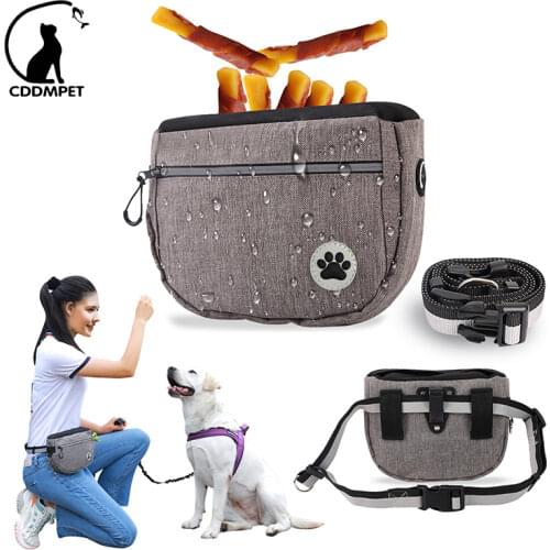 CDDMPET Trainers For Dogs