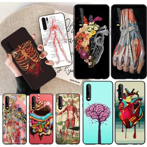PENGHUWAN medical human head meridian kidney art Soft Silicone Phone Case Cover For Huawei NOVA 2 PLUS 2s 2i 3i 3E 4E 5 5I PRO