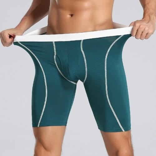 2pcs Mens Sexy Underwear Boxers Comfortable Long Leg Plus Size Underpants Tight-fitting Ice Silk Quick-drying Panties Mesh