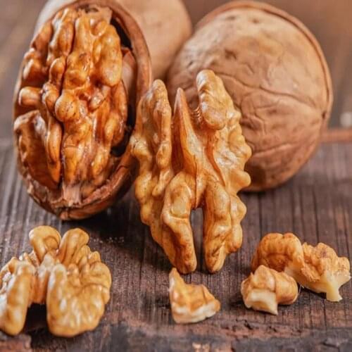 New Hot Sales Thin Shell Xinjiang Specialty Fresh Paper Walnut Free Transportation