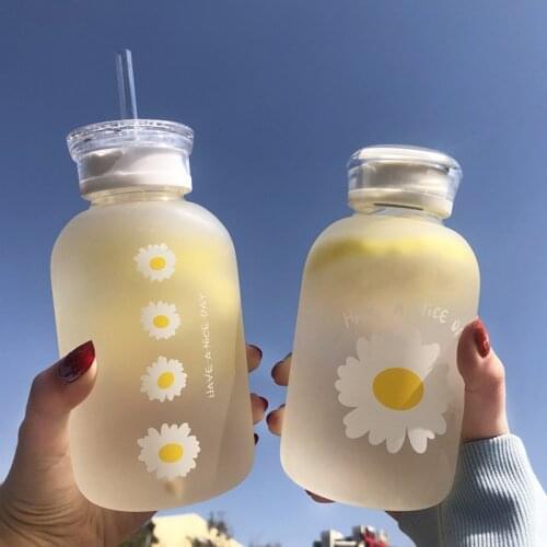 480ml Transparent Water Bottles Daisy Glass Mug Water Bottle With Straw Matte Simplicity Cups Stylish Water Cup