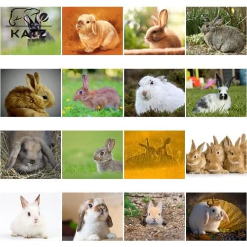 Diamond Painting Rabbit Picture Mosaic Diy Cross Stitch Home Decoration Painting By Numbers Cute Animal Diamond Embroidery