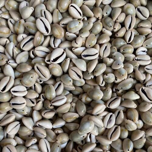 Natural Small Conch Shell Pendants Exquisite Sea Snail Bead Charms for Jewelry Making Necklace Bracelet Gift Ocean Decoration