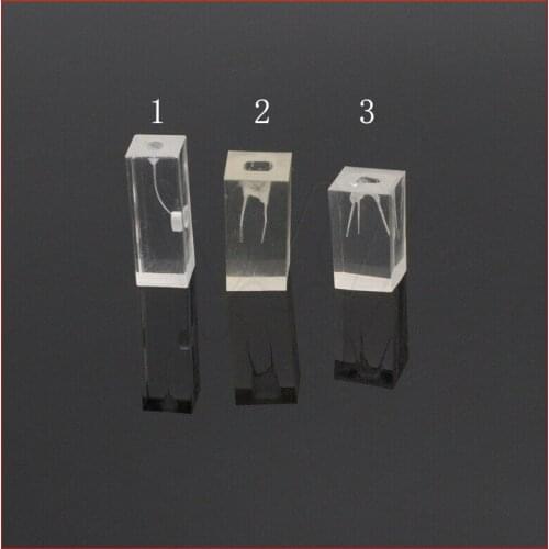 Dental School Resin Endodontic Student Study Teaching Practice Operation Model