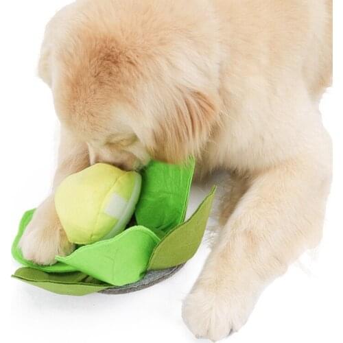 1PC Pet Interactive Plush Toys Dog Toys Pet Food Smell Cabbage Ball Stress Intelligence Toys Pet Supplies2