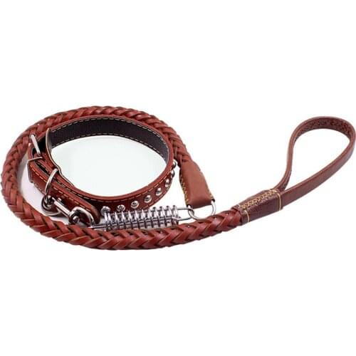 Pet Traction Rope Eight-strand Cowhide Spring Leash Outdoor Anti-rushing Guide Cable