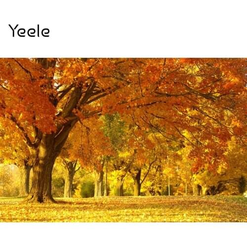 Yeele Autumn Forest Park Garden Tree Fallen Leaves Photo Background Natural Scenery Photography Backdrop Vinyl Photocall Scene