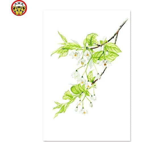 Painting by numbers art paint by number White flower North European fresh European hand-painted modern home decoration Simple a