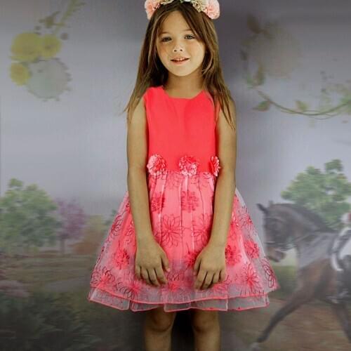 Princess Girl Lace Tulle Dress Wedding Birthday Dress Pageant Children Summer Lace Tulle Dress