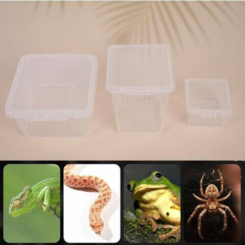 1pc Feeding Box Reptile Cage Hatching Container Rearing Tank for Lizards Terrarium Tortoise Spider Beetle Insect House 3 Size