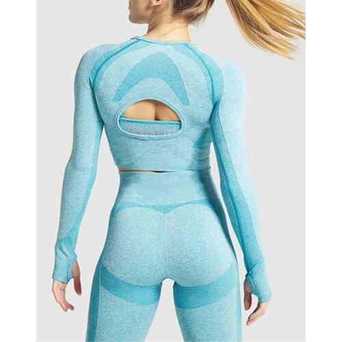 Seamless Sport Set Women Blue Two Piece 2PCS Crop Top T-Shirt Leggigngs Workout Outfit Fitness Gym Suit Workout Wear Yoga Sets