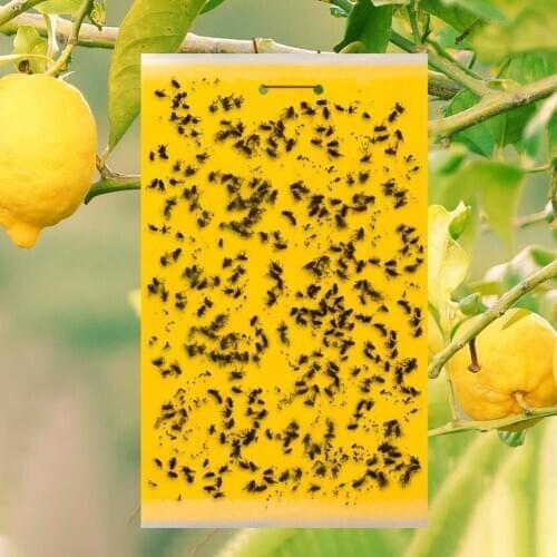 20 Pcs Outdoor Pest Control Glue Paper Strong Flies Traps Bugs Hanging Sticky Board Catcher Aphid Insects Killer Garden Tools