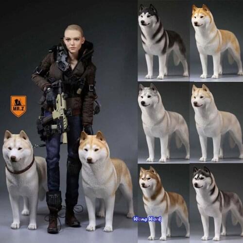 Wong Work 1:6 Scale Mr.Z Animal Toys Siberian Husky Dogs Resin Figure 6 Color Model Collection Figurine Statue