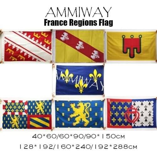 AMMIWAY France Alsace Lorraine Auvergne France ile de Bourgogne Franche Comte Flags French Unofficial Flag of Pays de la Loire