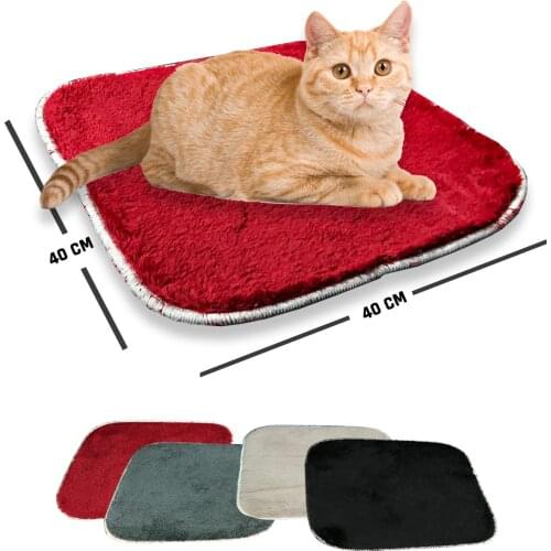 North Polo Club Products For Cats