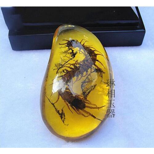 Burma amber amber insect pendant wax insect snake standard Amber Pendant Fashion all-match creative new