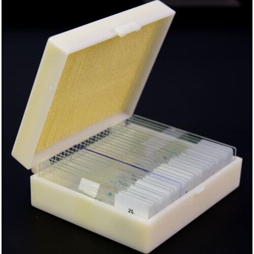 25PCS Prepared Basic Science Microscope Slides Animal Plant Human Cell Insect Specimen Glass Slide with Plastic Box
