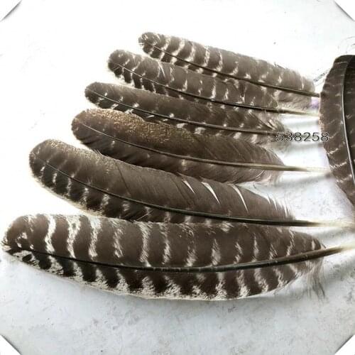 30pcs/lot 20-30cm Natural Turkey Feather Rare Wild Pheasant Feather For DIY Craft& Millinery
