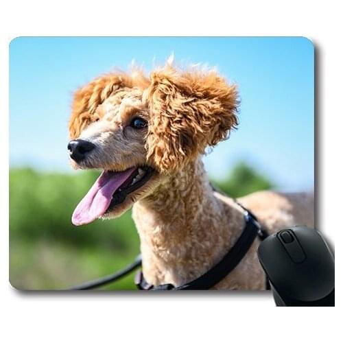 Lovely Pug Dog Gaming Mouse Pad,Pets Teddy Puppy Walking The Dog Animal,dogs mouse mat