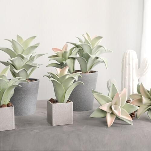 High Quality Flocking Succulents Artificial Plants Real Crassula Succulents Home Garden Store Decor Gardening Fake Plant Live