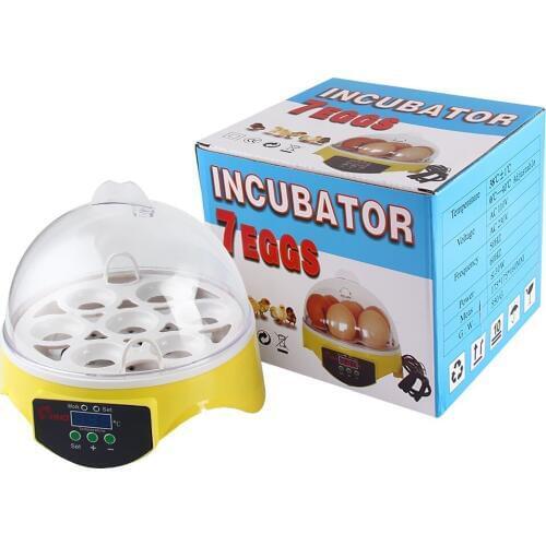 Jianyana Egg Devices