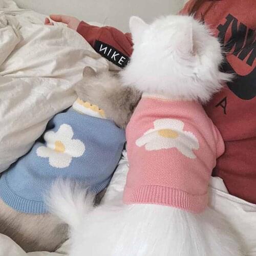 Korean version of the autumn and winter warmth and early spring core-spun yarn pullover cute Bichon Pug pet sweater dog clothes