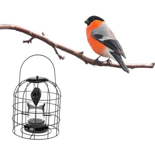 Iron Wire Squirrel-Proof Suet Feeder Peanut & Seed Cage Bird Feeder Hanging Tree Garden Patio Outdoor