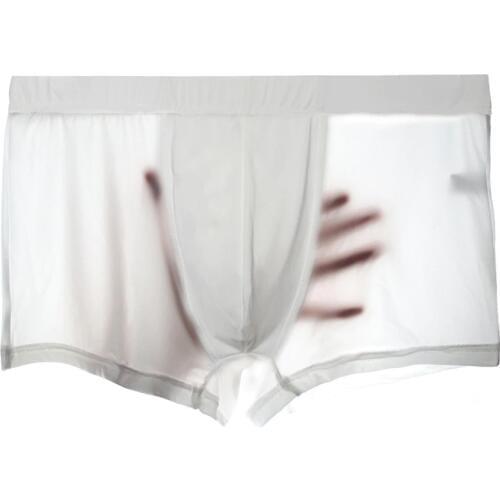 DENNYLITER 3pcs Underwear Men Underwear Ice Silk Penis Hot Breathable Transparent Sexy Men Boxer Homme Soft Boxer Para Hombre