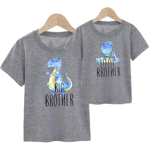 Family Matching Outfits Dinosaur Big Brother Little Brother Shirt Brother Tops Sibling Shirts Coming Home Outfit Baby Bodysuit