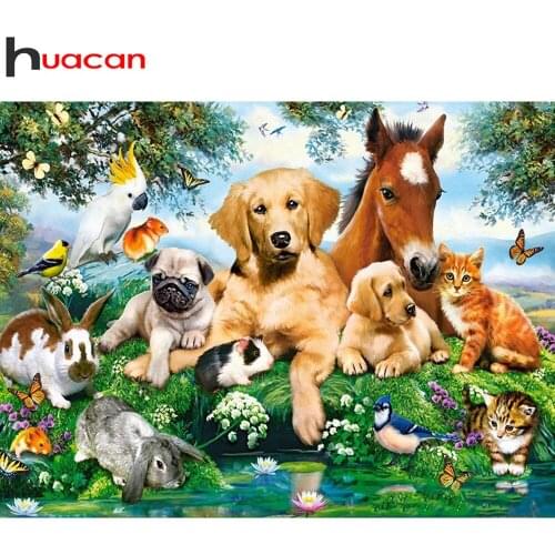 Huacan 5D DIY Diamond Painting Cross Stitch Full Square/Round Dog Animal Diamond Embroidery Mosaic Horse Home Decor