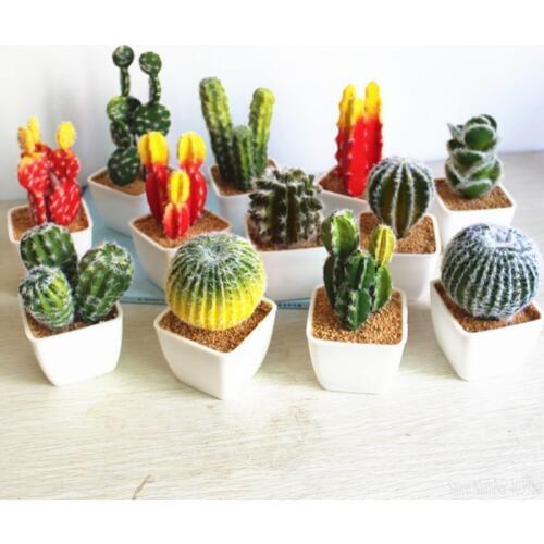 Vase+Succulent plants set Real Touch Mini palm bonsai artificial fleshiness Cactus decorative flower for table decoration cacti