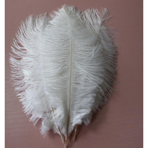 50Pcs 6-8''(15-20cm) High Quality New Style Real Natural White Ostrich Feathers Wedding Decoration
