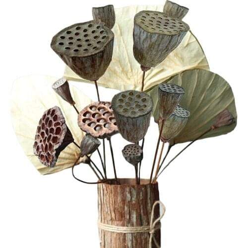 1Pc Lotus Natural Dried Flowers Decorative Home Wedding Decoration Farmhouse Bouquet Plant Branch Home Party Decor Photo Prop
