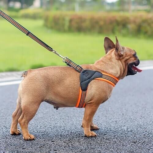 Dog Collar Pet Breathable Mesh Dogs Harness Reflective Adjustable Dogs Harness Leash Set Dogs Pet Collar Leash Dog Accessories