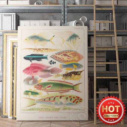 Fish Vintage Art Poster, The Oceanographic Museum Biology Wall Exhibition Prints, Kindergarten Kids Room Decor Wall Stickers