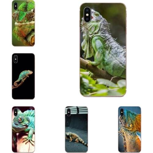 Animal Iguana Chameleon Lizard For HTC Desire 530 626 628 630 816 820 830 One A9 M7 M8 M9 M10 E9 U11 U12 Life Plus Phone Cases