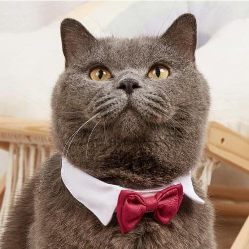 Adjustable Pets Dog Cat Bow Tie Pet Costume Necktie Collar for Small Dogs Puppy Grooming Accessories Halloween Accessories