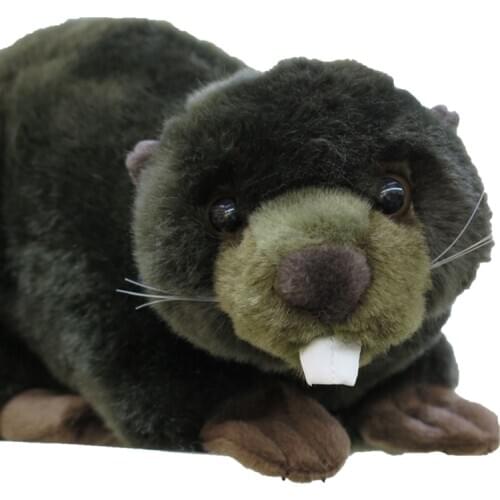 Cute Simulation Animal Beaver Plush Toy Mini Soft Realistic Animals Doll for Kids Gift Teaching Props 28X15cm DY50904