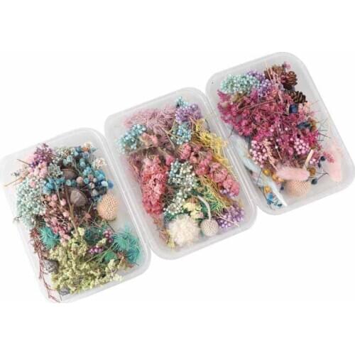 Real Pressed Flower Leaf Dried Daisy Flower Resin Flower Dry Beauty Nail Art Decals Epoxy Mold Fillings Jewelry Making