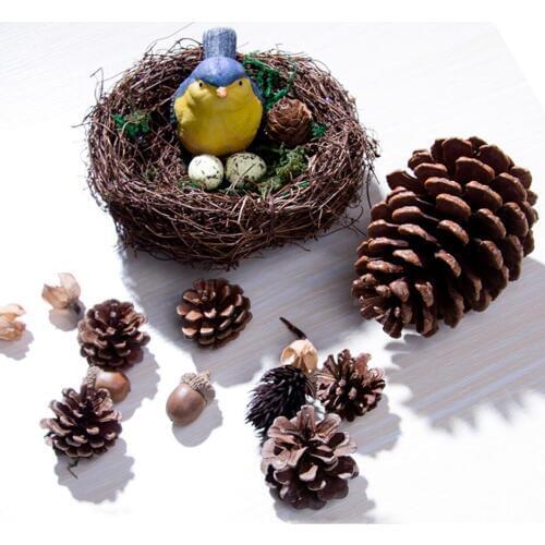 One Set Dried Plant Flower Fruits Pinecone Bird Nest Egg For Wedding Party Home Hotel Venue Decoration Craft DIY Accessory A
