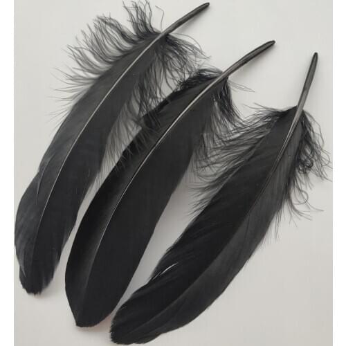 Hot 20pcs Beautiful Black Hard Goose Feathers 15-20cm/6-8inch Christmas Decoration Clothing Shoes Hat Accessories