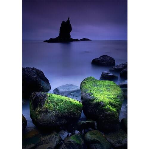 3d Picture Of Rhinestones Diamond Embroidery DIY Diamond Painting Mosaic Pattern Embroidery Kit Green moss on the stone A6413R