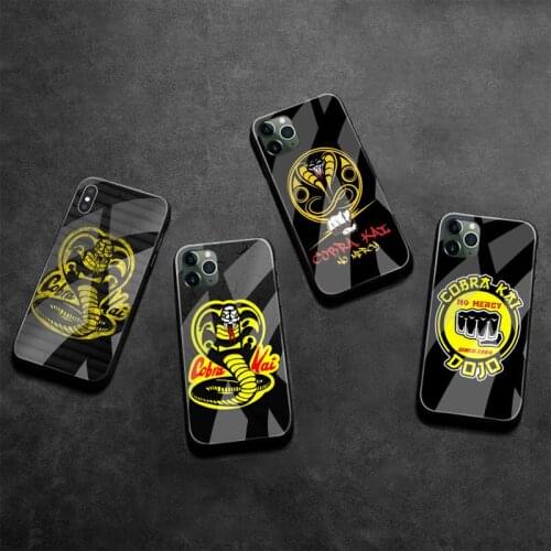 Cobra Kai Season 2 Phone Case Tempered Glass For iPhone 12 pro max mini 11 Pro XR XS MAX 8 X 7 6S 6 Plus SE 2020 case