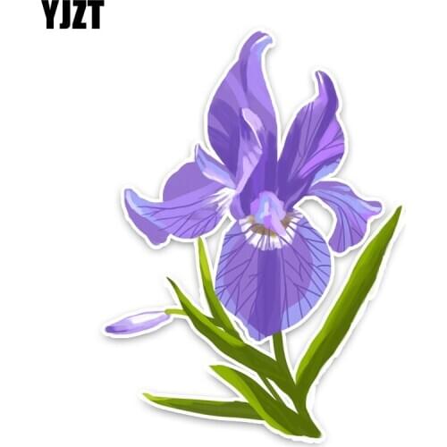 YJZT 10.2*13.8CM Irises Flowers Purple Decal Accessories Car Stickers 11A1396