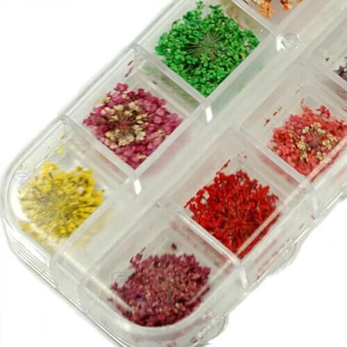 60 Pcs Real Dried Flower Nail Art Tips Sweet DIY Decoration Stickers 1 Box