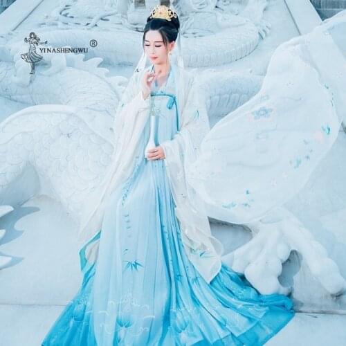 Costume Hanfu Tang Dynasty Female Skirt Folk Dance Costume Chinese Traditional Fairy Princess Dress Stage Performance Costume