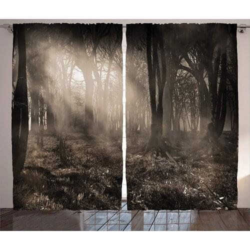 Gothic Curtains Dark Forest Scenery with Sunbeams and Fog Vintage Nostalgic Colors Gothic Fantasy Art Living Room Bedroom Decor