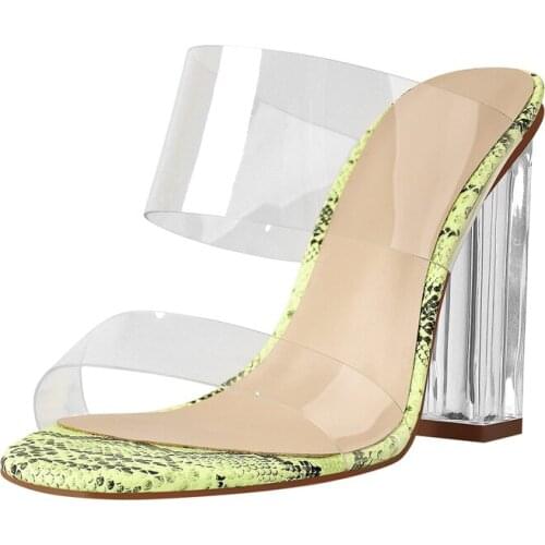 Richealnana Slip-On Transpanrent PVC Sandals Pointed Open Toe Clear Metal Chunky Heels Fluorescent Color Snakeskin Slippers