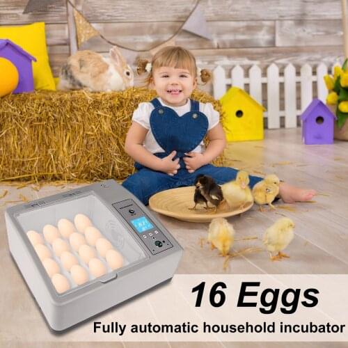 Egg Incubator Chicken Incubator 16 Eggs Brooder Automatic Home Incubator Quail Pigeon Incubator Farm Chick Quail Hatcher New